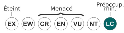 Barbeau commun — Wikipédia